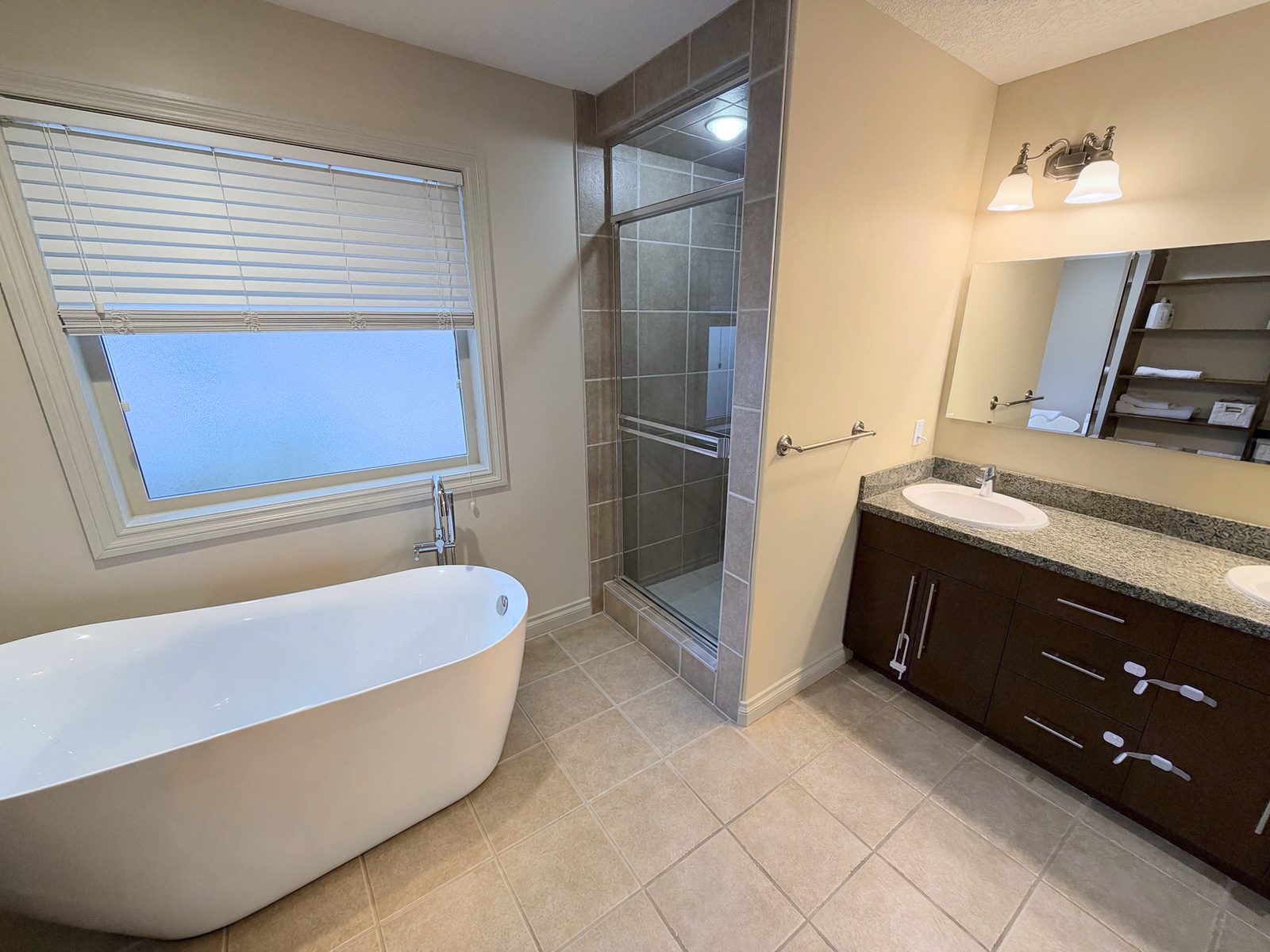 Ensuite with a freestanding tub, glass shower and long vanity