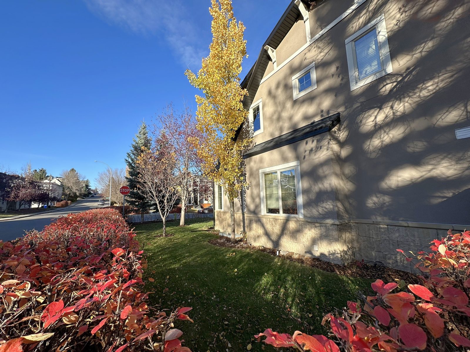 Lawn and young trees along the side of the house