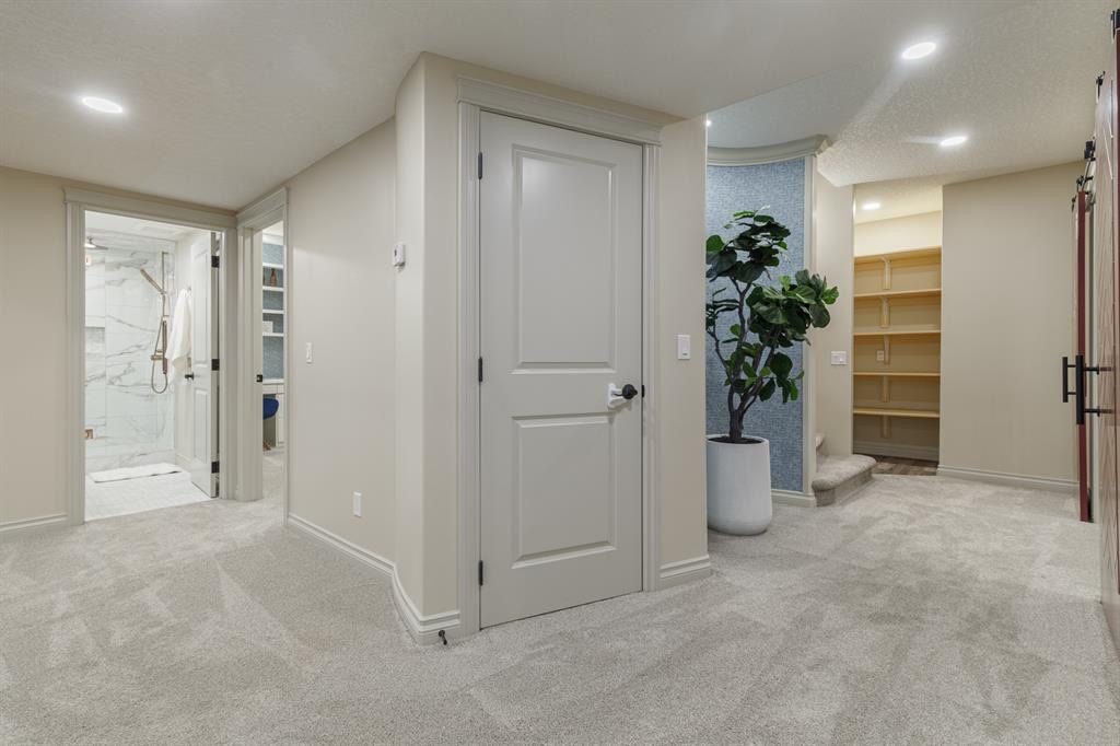 Lower-level hall with bathroom, storage and under-stair shelving